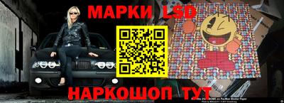 крисы Гай