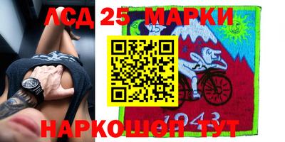 крисы Гай