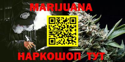 крисы Гай