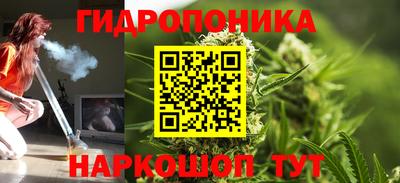 крисы Гай