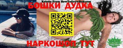 крисы Гай