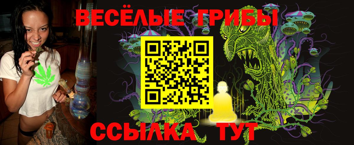 Псилоцибиновые грибы ЛСД  Вход с VPN  Псилоцибиновые грибы MAGIC MUSHROOMS  Кимовск 