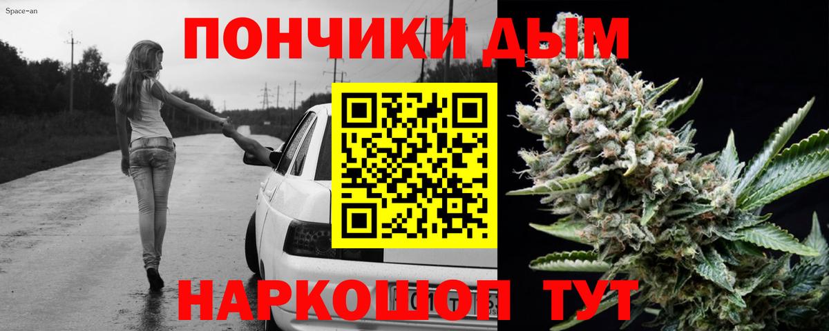 Шишки марихуана конопля  Вход с VPN  Шишки марихуана ГИДРОПОН  Марихуана план  Кимовск 